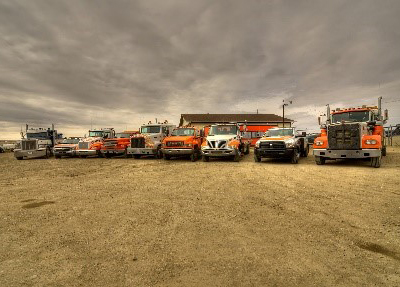 Low Cost Towing employees Low Cost Towing employees